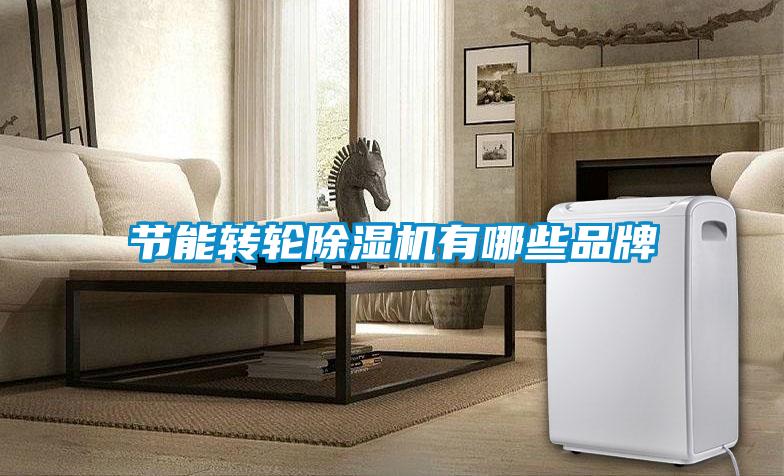 節(jié)能轉(zhuǎn)輪除濕機有哪些品牌