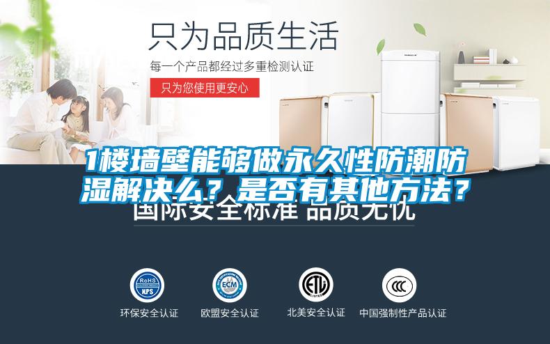 1樓墻壁能夠做永久性防潮防濕解決么？是否有其他方法？