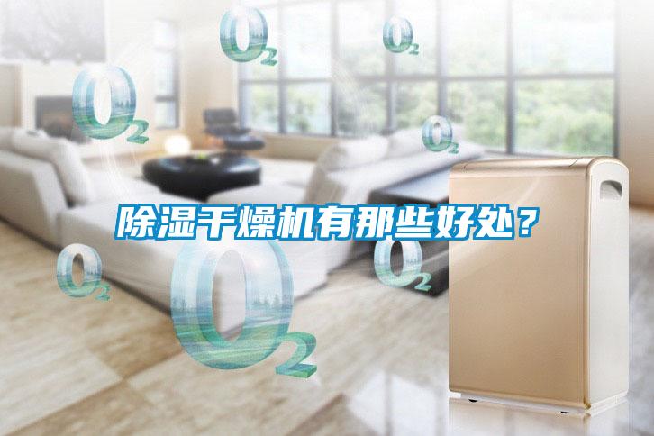 除濕干燥機(jī)有那些好處？