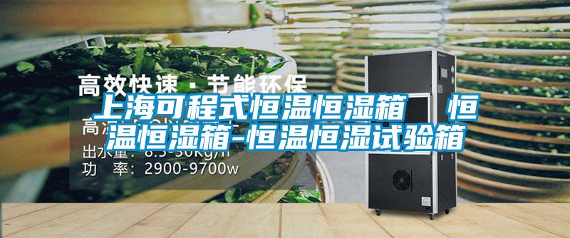 上?？沙淌胶銣睾銤裣? 恒溫恒濕箱-恒溫恒濕試驗(yàn)箱
