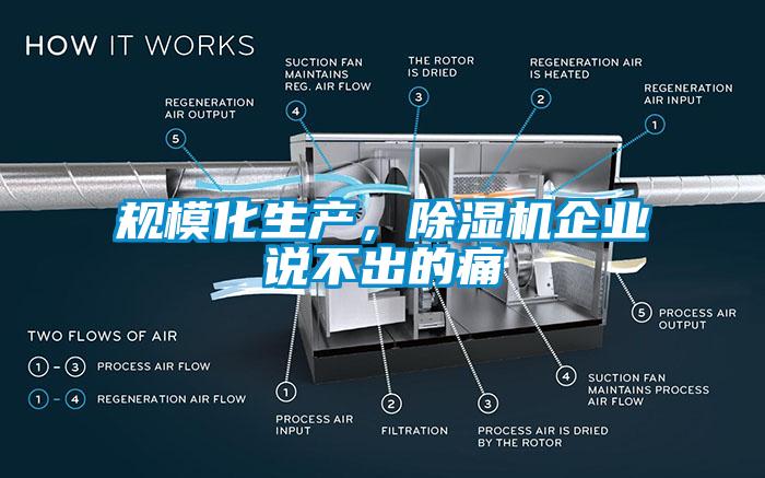 規(guī)?；a(chǎn)，除濕機企業(yè)說不出的痛