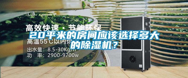 20平米的房間應(yīng)該選擇多大的除濕機(jī)？