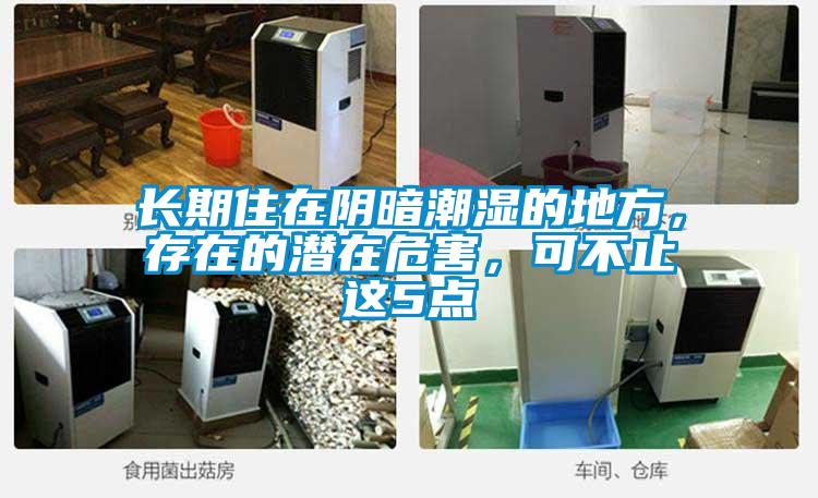長期住在陰暗潮濕的地方，存在的潛在危害，可不止這5點