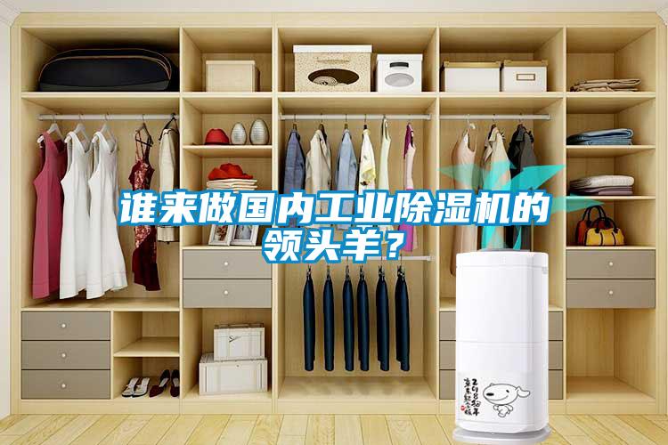 誰來做國內(nèi)工業(yè)除濕機(jī)的領(lǐng)頭羊？