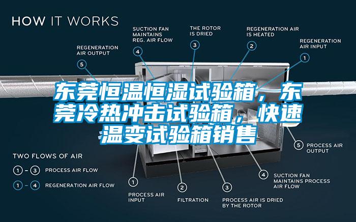 東莞恒溫恒濕試驗箱，東莞冷熱沖擊試驗箱，快速溫變試驗箱銷售