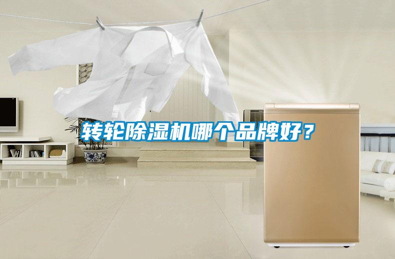 轉(zhuǎn)輪除濕機(jī)哪個品牌好？