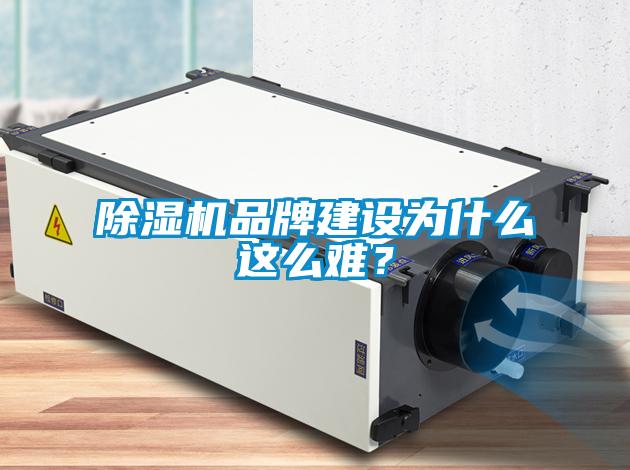 除濕機(jī)品牌建設(shè)為什么這么難？