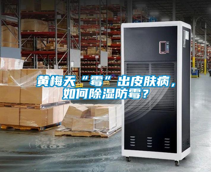 黃梅天“霉”出皮膚病，如何除濕防霉？