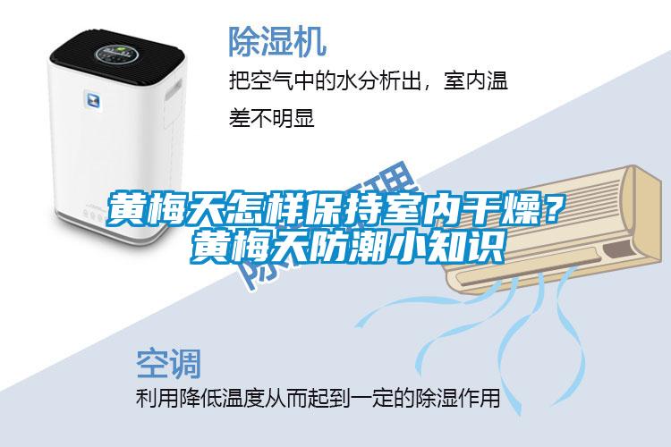 黃梅天怎樣保持室內(nèi)干燥？ 黃梅天防潮小知識(shí)