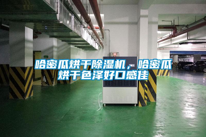 哈密瓜烘干除濕機(jī)，哈密瓜烘干色澤好口感佳