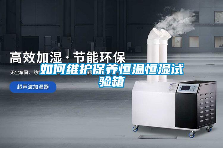 如何維護保養(yǎng)恒溫恒濕試驗箱