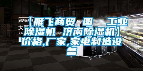 【雁飛商貿(mào) 圖  工業(yè)除濕機 濟南除濕機】價格,廠家,家電制造設(shè)備