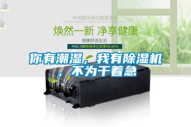 你有潮濕，我有除濕機(jī)，不為干著急