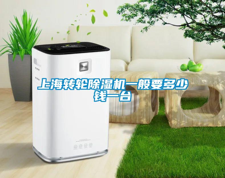 上海轉(zhuǎn)輪除濕機(jī)一般要多少錢一臺