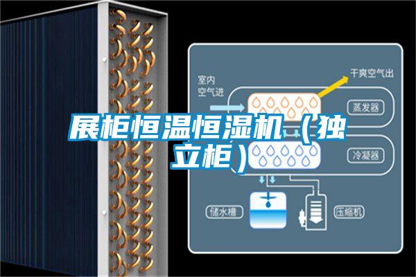 展柜恒溫恒濕機(jī)（獨立柜）