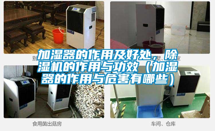 加濕器的作用及好處，除濕機的作用與功效（加濕器的作用與危害有哪些）
