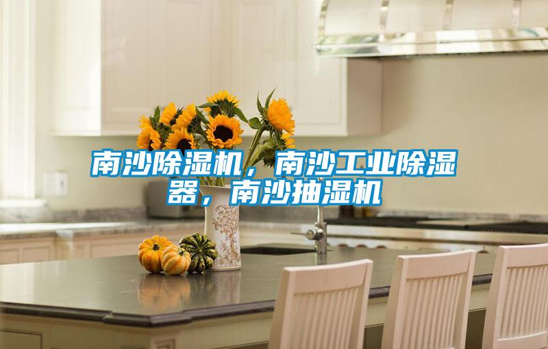 南沙除濕機，南沙工業(yè)除濕器，南沙抽濕機