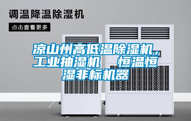 涼山州高低溫除濕機(jī)，工業(yè)抽濕機(jī)  恒溫恒濕非標(biāo)機(jī)器