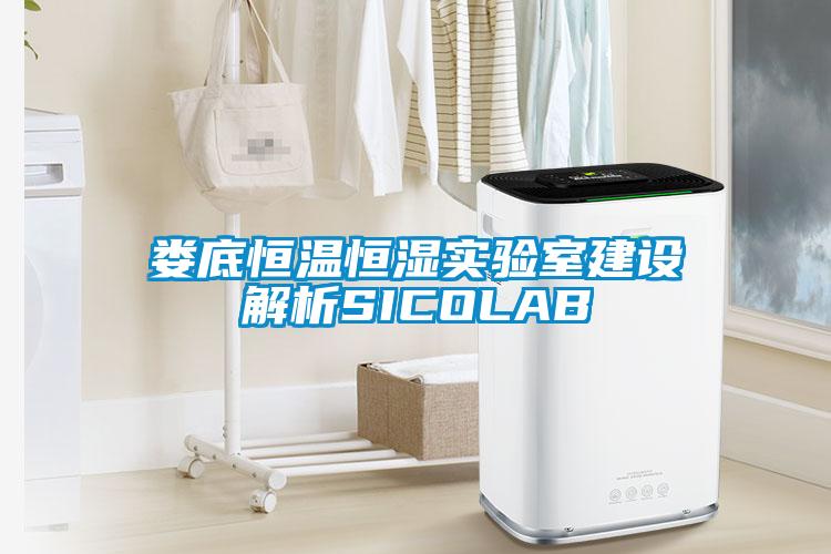 婁底恒溫恒濕實(shí)驗(yàn)室建設(shè)解析SICOLAB