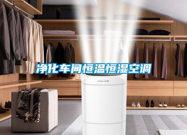 凈化車(chē)間恒溫恒濕空調(diào)