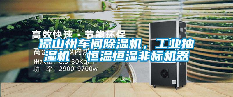 涼山州車間除濕機，工業(yè)抽濕機  恒溫恒濕非標(biāo)機器