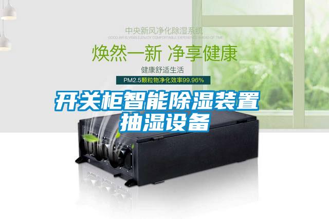 開(kāi)關(guān)柜智能除濕裝置 抽濕設(shè)備