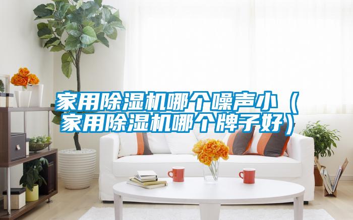 家用除濕機(jī)哪個(gè)噪聲小（家用除濕機(jī)哪個(gè)牌子好）