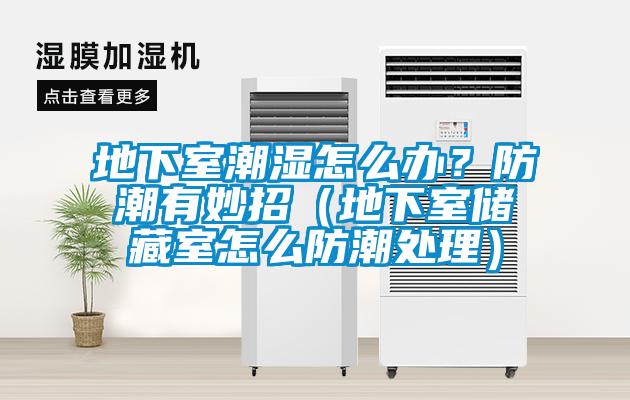 地下室潮濕怎么辦？防潮有妙招（地下室儲(chǔ)藏室怎么防潮處理）