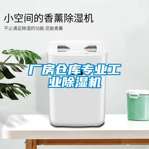 廠房倉庫專業(yè)工業(yè)除濕機(jī)