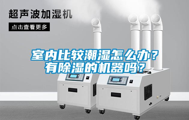 室內(nèi)比較潮濕怎么辦？有除濕的機(jī)器嗎？