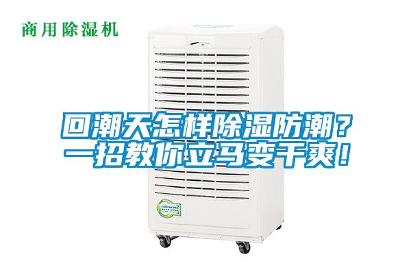 回潮天怎樣除濕防潮？一招教你立馬變干爽！