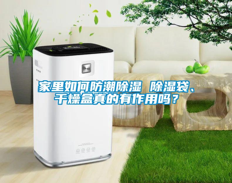家里如何防潮除濕 除濕袋、干燥盒真的有作用嗎？