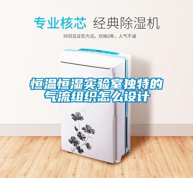 恒溫恒濕實(shí)驗(yàn)室獨(dú)特的氣流組織怎么設(shè)計