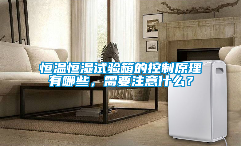 恒溫恒濕試驗(yàn)箱的控制原理有哪些，需要注意什么？