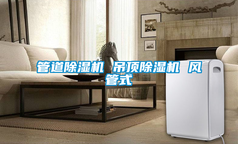 管道除濕機 吊頂除濕機 風(fēng)管式