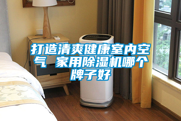 打造清爽健康室內(nèi)空氣 家用除濕機(jī)哪個(gè)牌子好