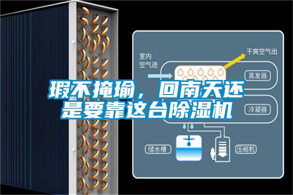 瑕不掩瑜，回南天還是要靠這臺(tái)除濕機(jī)
