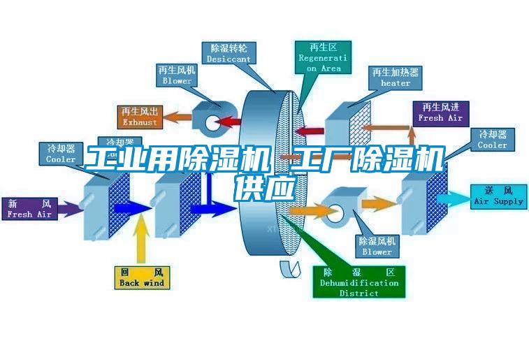 工業(yè)用除濕機 工廠除濕機供應