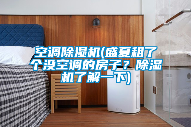 空調除濕機(盛夏租了個沒空調的房子？除濕機了解一下)