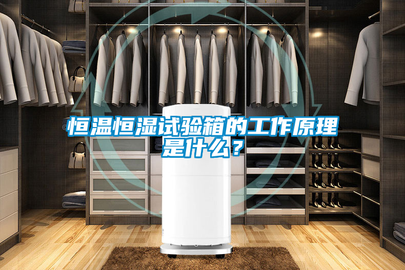 恒溫恒濕試驗(yàn)箱的工作原理是什么？