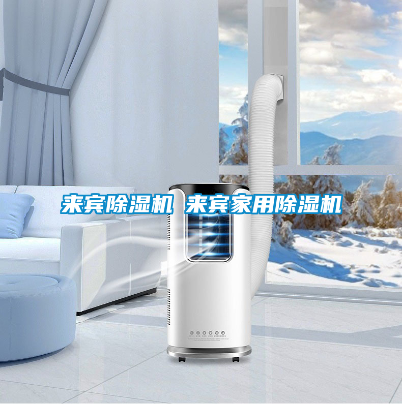 來賓除濕機(jī)◆來賓家用除濕機(jī)