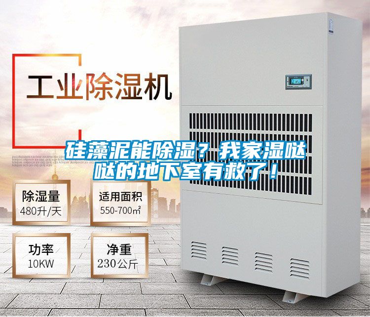 硅藻泥能除濕？我家濕噠噠的地下室有救了！