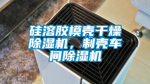 硅溶膠模殼干燥除濕機(jī)，制殼車間除濕機(jī)