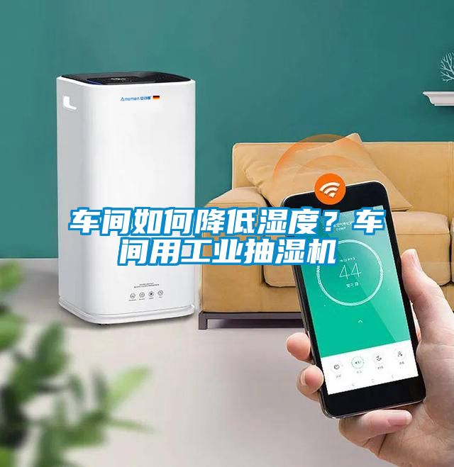 車(chē)間如何降低濕度？車(chē)間用工業(yè)抽濕機(jī)