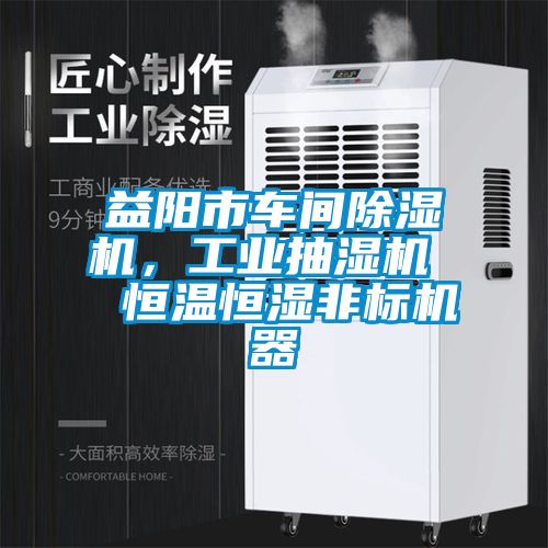 益陽市車間除濕機，工業(yè)抽濕機  恒溫恒濕非標機器