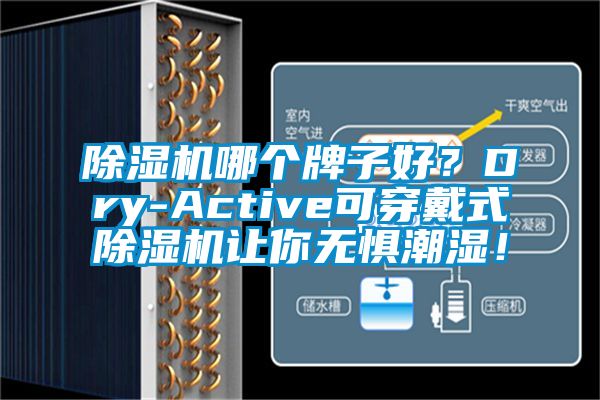 除濕機(jī)哪個(gè)牌子好？Dry-Active可穿戴式除濕機(jī)讓你無懼潮濕！