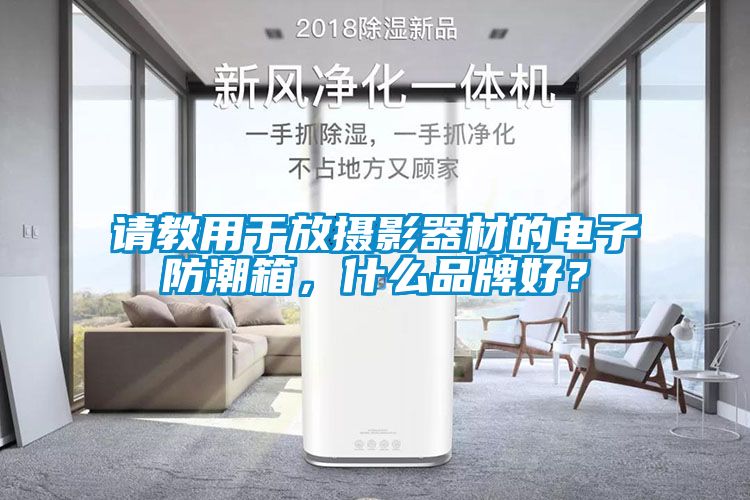 請教用于放攝影器材的電子防潮箱，什么品牌好？