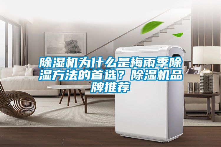 除濕機為什么是梅雨季除濕方法的首選？除濕機品牌推薦