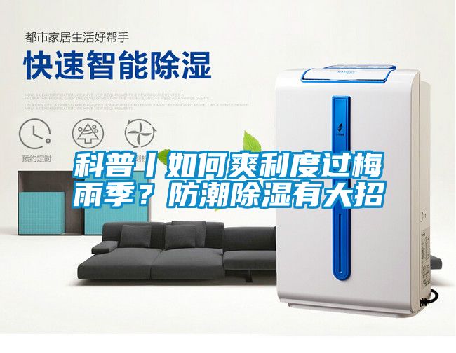 科普丨如何爽利度過梅雨季？防潮除濕有大招