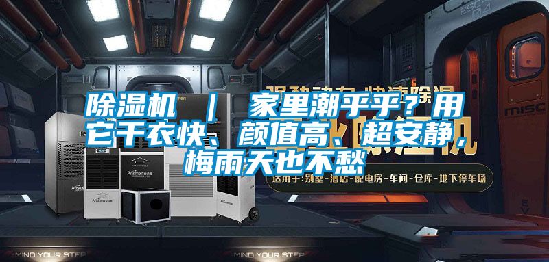 除濕機(jī) ｜ 家里潮乎乎？用它干衣快、顏值高、超安靜，梅雨天也不愁